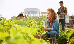 écoconstruction leed