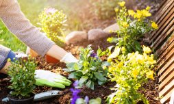 aménagement paysager