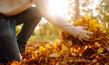 grand menage d automne