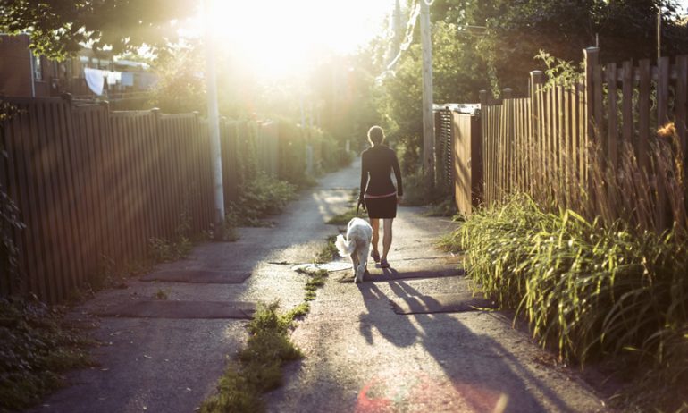 Portrait de quartier : Rosemont-La-Petite-Patrie Rosemont-La-Petite-Patrie