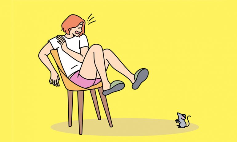 Souris, mulot et autres rongeurs dans sa maison : Comment réagir? La souris effraie une femme