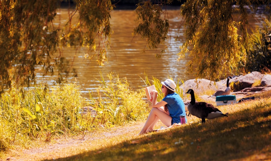 Verdun : un quartier à la fois historique et moderne