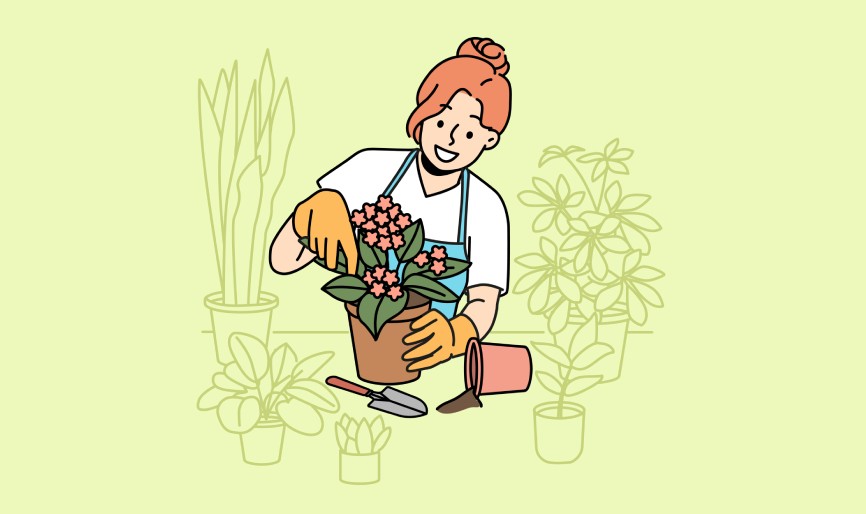 Plantes d’intérieur au Québec : comment verdir son chez-soi même en plein hiver