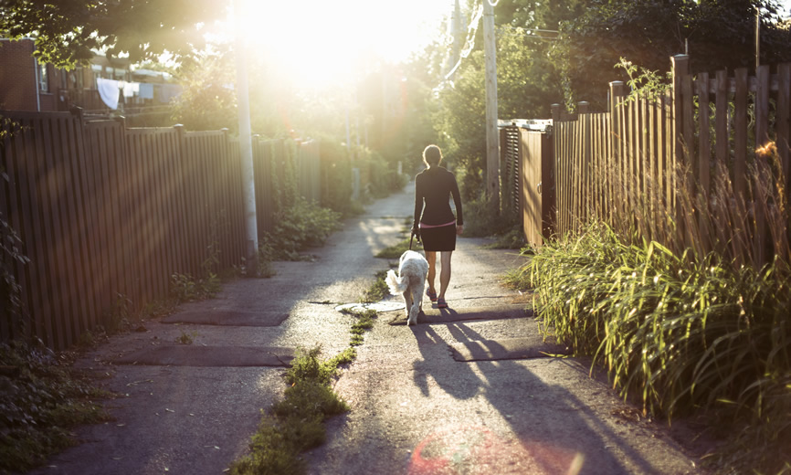 Ruelle résidentielle au soleil couchant