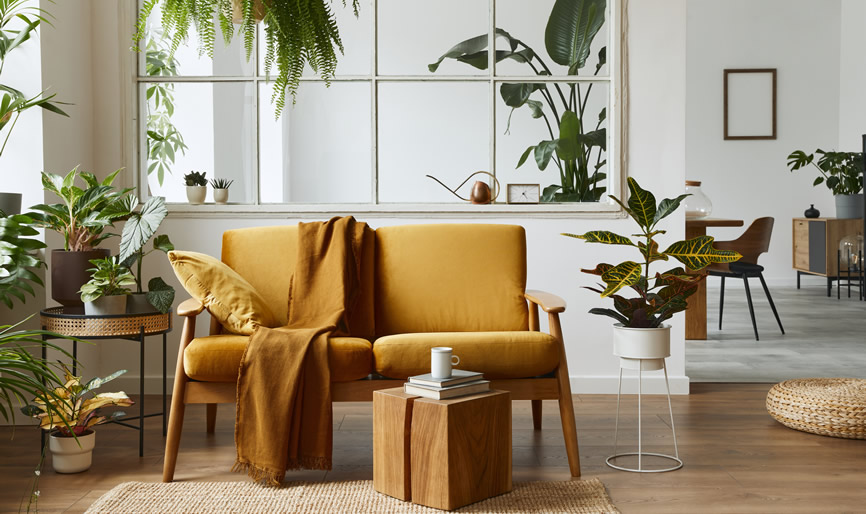 Salon moderne avec plantes